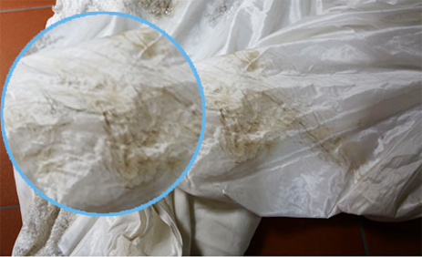 Химчистка свадебных платьев фото до/после